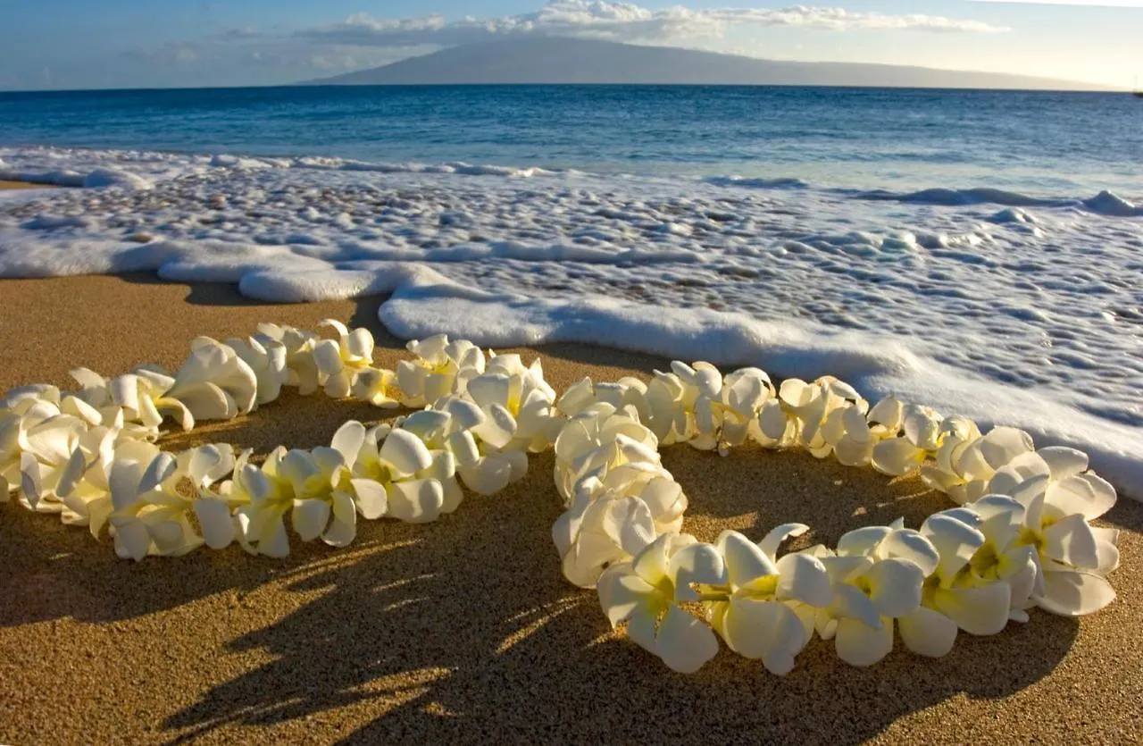 Upscale Penthouse With Ocean Views & Free Parking! Apartment Honolulu